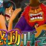 【動画】【ONE PIECE 1133話】22年ぶり…感動のロビン&サウロの再会…青キジが仕掛けた秘密…エルバフの天候&村の秘密※考察&ネタバレ注意