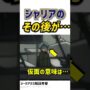 【動画】シャリア・ブル仮面の理由とその後…　ジークアクス考察　ジークアクス第12話　#ガンダム #gquuuuuux