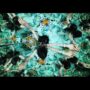 【動画】Aimer「太陽が昇らない世界」Artwork Teaser （『劇場版「鬼滅の刃」無限城編 』第一章 猗窩座再来』 主題歌）
