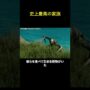 【動画】史上最高の家族