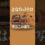 【動画】『となりのトトロ』のエンディングには深い物語が隠されていた！