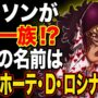 【動画】【ワンピース 考察】コラソンとドフラミンゴもDの一族だった!? 天竜人とDの一族の共存は可能!?【ONEPIECE考察】
